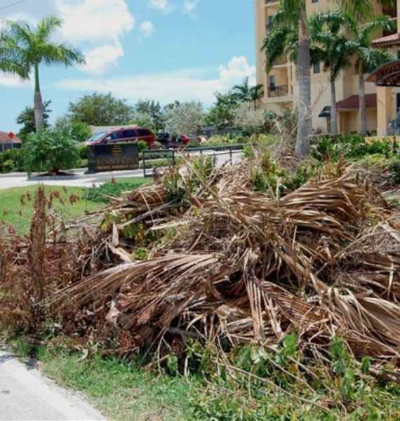Yard trash removal Services | Garden Waste removal